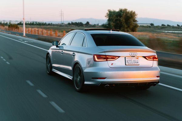 Best Practices for Training Your New Puppy